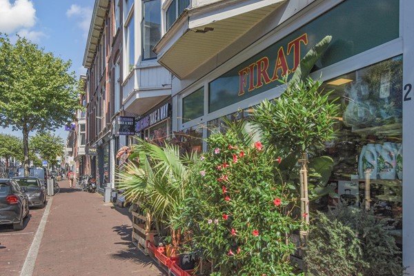 Medium property photo - Halleystraat 52, 2563 EP The Hague